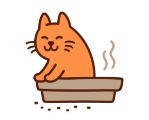 cat-in-litter-box